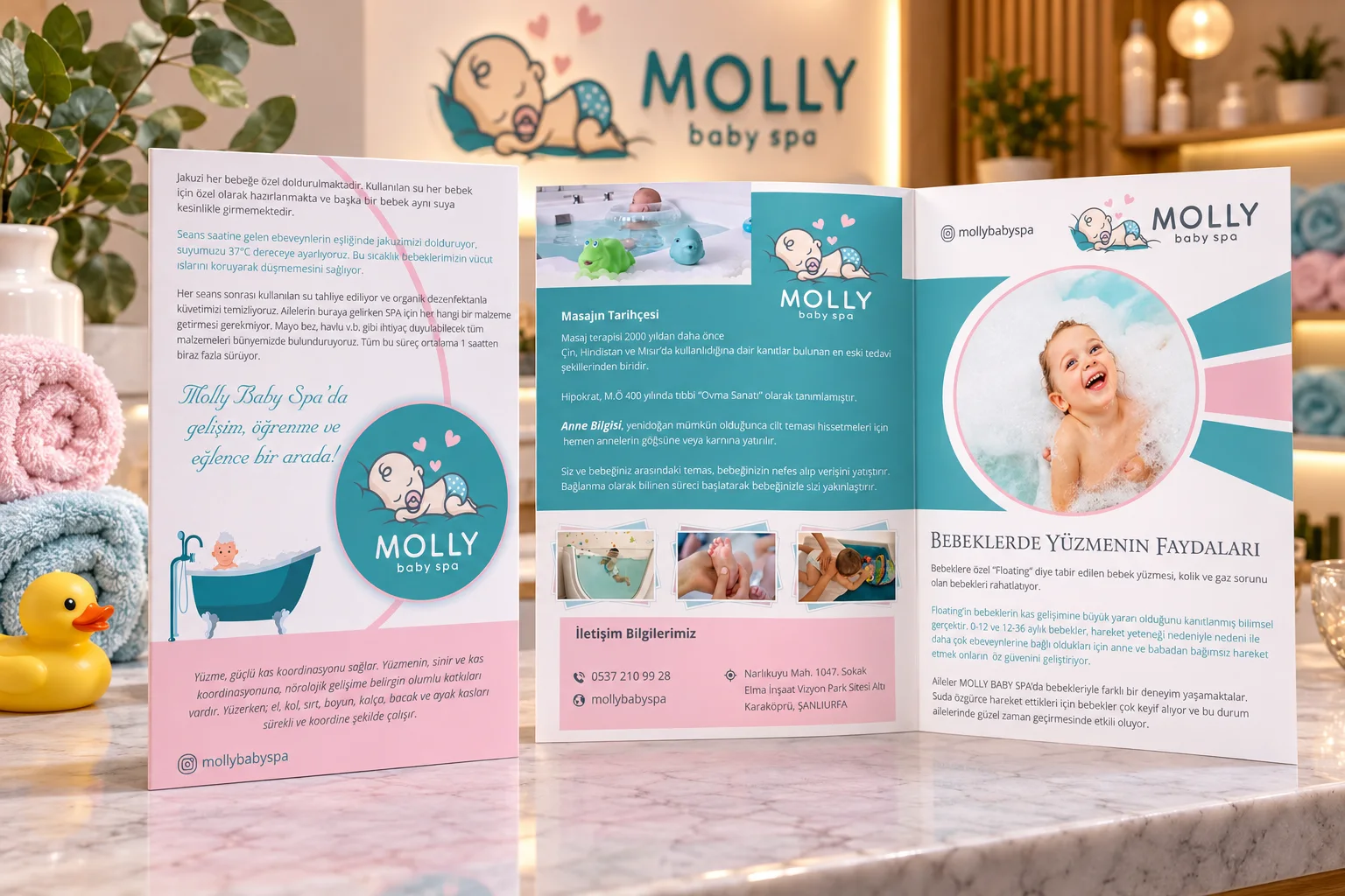 Molly Baby Spa · Marka kimliği, Basılı işler